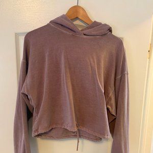 Aritzia Sweats - The Group by Babaton Vanguard Hoodie